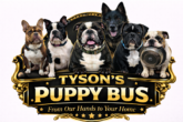 TysonPuppyBus